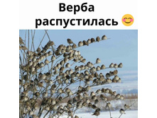 IMG 20210227 162525.jpg