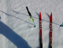 IMG 20210327 094220.jpg