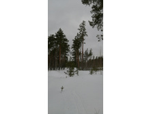 IMG 20210320 111735.jpg