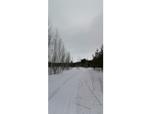 IMG 20210314 125843.jpg