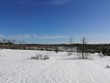 IMG 20210328 092006.jpg