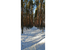 IMG 20210327 083134.jpg