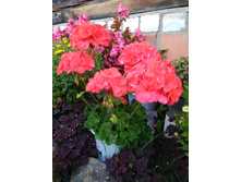 ���������� ��������� ���������