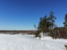 IMG 20210328 085049.jpg