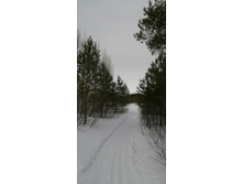 IMG 20210314 125532.jpg