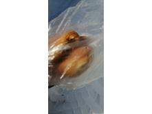 IMG 20210313 110120.jpg