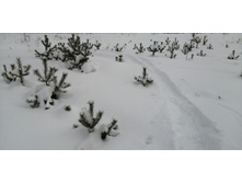 IMG 20210228 111858.jpg