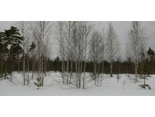 IMG 20210320 112623.jpg