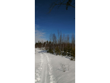 IMG 20210321 103551.jpg