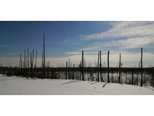 IMG 20210321 101834.jpg