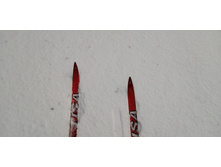 IMG 20210306 111259.jpg