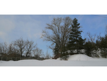 IMG 20210306 113030.jpg