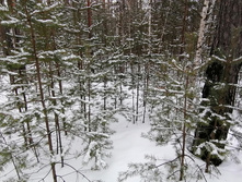 IMG 20210314 112152.jpg