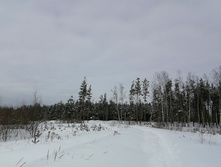 IMG 20210228 120517.jpg