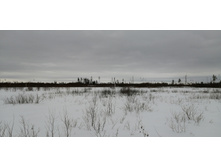 IMG 20210320 125353.jpg