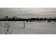 IMG 20210321 094708.jpg