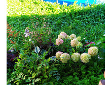 IMG 20200831 223225.jpg