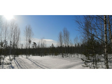 IMG 20210328 083406.jpg