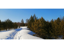 IMG 20210328 081913.jpg