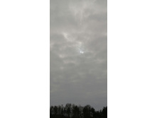 IMG 20210228 120554.jpg