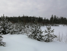 IMG 20210228 112125.jpg