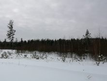 IMG 20210228 120412.jpg