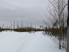 IMG 20210320 114956.jpg