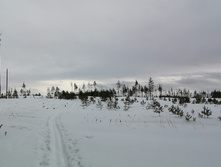 IMG 20210314 111242.jpg