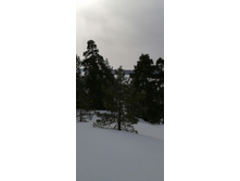 IMG 20210306 111250.jpg