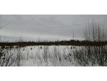 IMG 20210320 122757.jpg