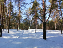 IMG 20210327 091358.jpg