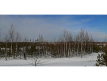 IMG 20210321 095543.jpg