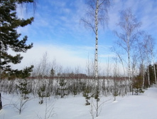 IMG 20210321 092610.jpg