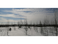 IMG 20210321 102614.jpg