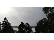 IMG 20210306 111202.jpg