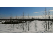 IMG 20210321 102609.jpg