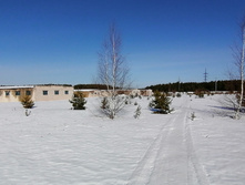 IMG 20210327 093232.jpg