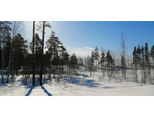 IMG 20210328 084235.jpg