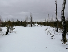 IMG 20210320 115231.jpg