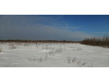 IMG 20210321 095920.jpg