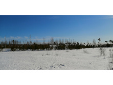 IMG 20210328 090904.jpg