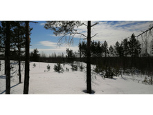 IMG 20210321 103813.jpg