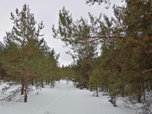 IMG 20210320 104728.jpg