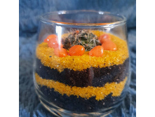 IMG 20210307 084610 222.jpg