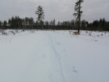 IMG 20210228 120436.jpg