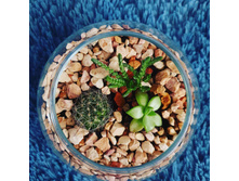 IMG 20210316 131717 174.jpg