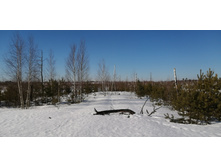 IMG 20210328 091119.jpg