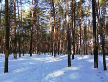 IMG 20210327 083849.jpg