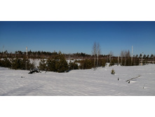 IMG 20210328 091205.jpg