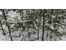 IMG 20210314 112236.jpg